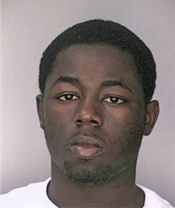 Mckinney Dredrick - Hillsborough County, FL 