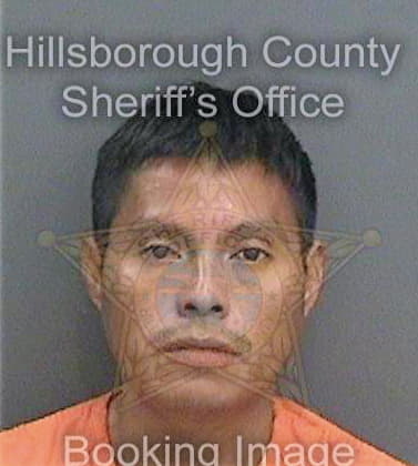 Ramirezvazquez Celvin - Hillsborough County, FL 