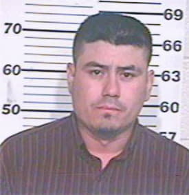 Garcia Gerardo - Hidalgo County, TX 