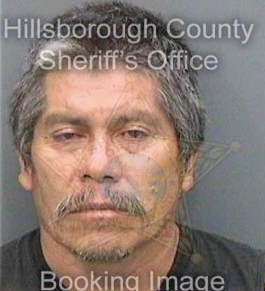 Lopez Vicente - Hillsborough County, FL 