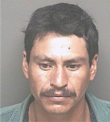 Hernandez Manuel - Lake County, FL 