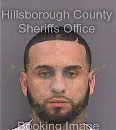 Gutierrez Frank - Hillsborough County, FL 