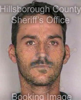 Bowman Bryon - Hillsborough County, FL 