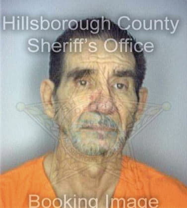 Berdequez Elieser - Hillsborough County, FL 