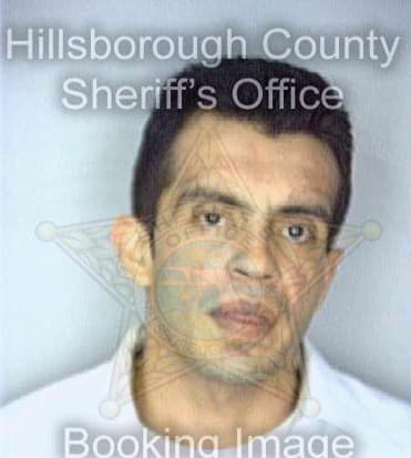 Silva Fernando - Hillsborough County, FL 
