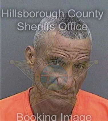 Diazrondon Manuel - Hillsborough County, FL 