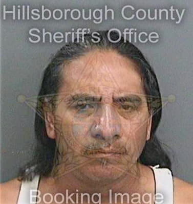 Mateovanencio Gilberto - Hillsborough County, FL 