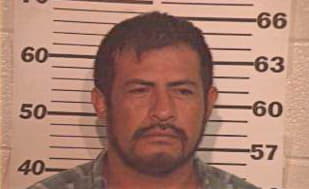 Nunez Luis - Hidalgo County, TX 