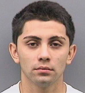 Torres Carlos - Hillsborough County, FL 