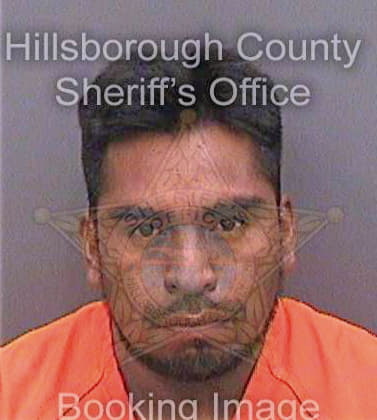 Sanjuanjose Gilberto - Hillsborough County, FL 