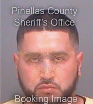 Morales Jose - Pinellas County, FL 