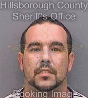 Caraballo Erick - Hillsborough County, FL 