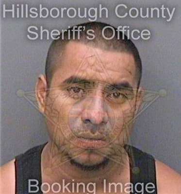 Bautistagonzalez Jose - Hillsborough County, FL 