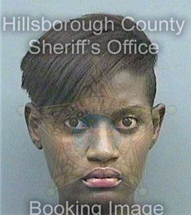 Germain Athalie - Hillsborough County, FL 