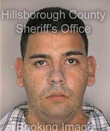 Ramirez Carlos - Hillsborough County, FL 