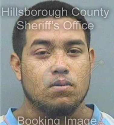 Martinez David - Hillsborough County, FL 