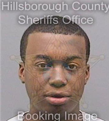 Mciver Gabriel - Hillsborough County, FL 