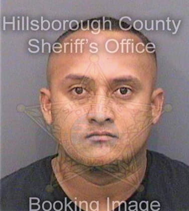 Martinezpavon Hector - Hillsborough County, FL 