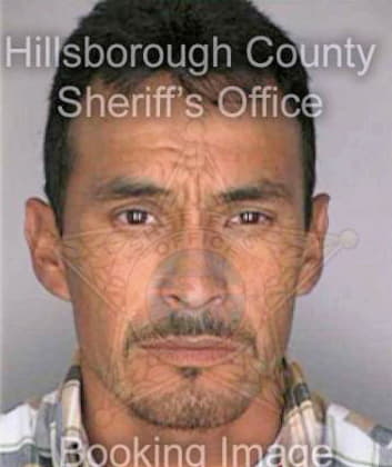 Manzanarez Jose - Hillsborough County, FL 