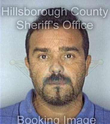 Diaz Luiz - Hillsborough County, FL 