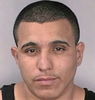 Trejo Carlos - Hillsborough County, FL 