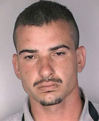 Merrill Shaun - Hillsborough County, FL 