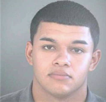 Gonzalez Ismael - Hillsborough County, FL 