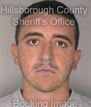 Lopezjaimillo Rau - Hillsborough County, FL 