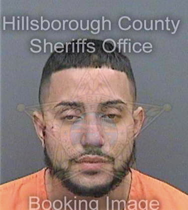 Borras Jose - Hillsborough County, FL 