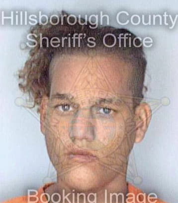 Medina Roberto - Hillsborough County, FL 