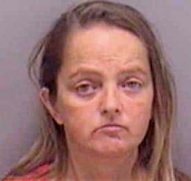 Snyder Sherry - Lee County, FL 