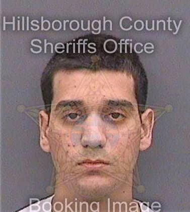 Velez Brandon - Hillsborough County, FL 