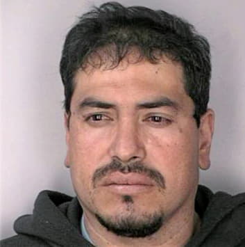 Melgozamontejano Arturo - Hillsborough County, FL 