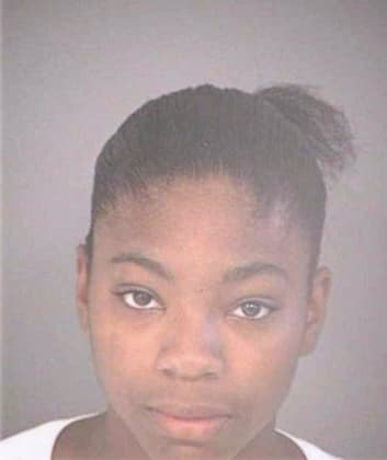 Sherer Joshlyn - Hillsborough County, FL 