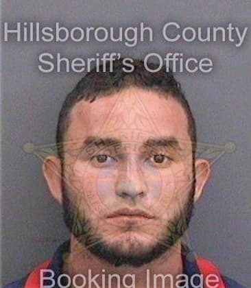 Villeda-Carasco Martin - Hillsborough County, FL 