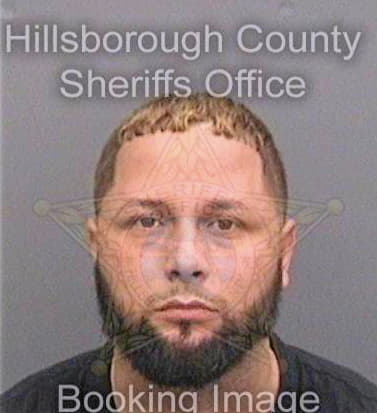 Gonzalez Alnaldo - Hillsborough County, FL 