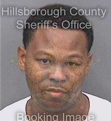 Bostick Monty - Hillsborough County, FL 