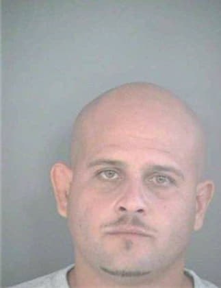 Vazquez Carlos - Hillsborough County, FL 