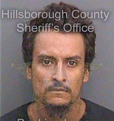 Bernadacgonzalez Jairo - Hillsborough County, FL 