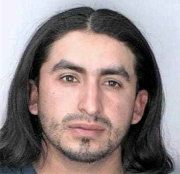 Mendozarivera Luis - Hillsborough County, FL 
