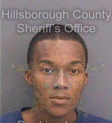 Singletary Craig - Hillsborough County, FL 