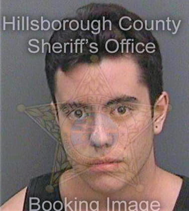 Gottfried John - Hillsborough County, FL 