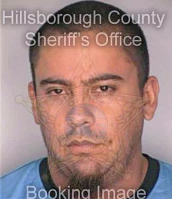 Salas Gaboriel - Hillsborough County, FL 