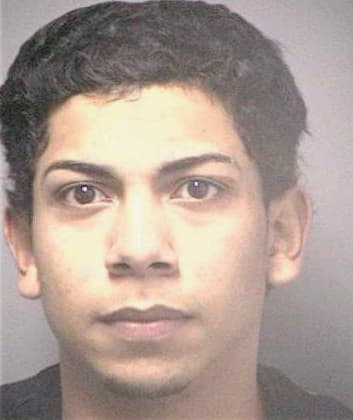 Ortiz Julio - Hillsborough County, FL 