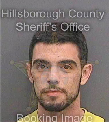 Steen Sidney - Hillsborough County, FL 