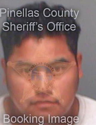 Hernandezrocha Luis - Pinellas County, FL 