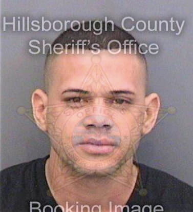 Concepcionrodriguez Michel - Hillsborough County, FL 