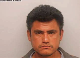 Hernandez Primitivo - Chatham County, GA 