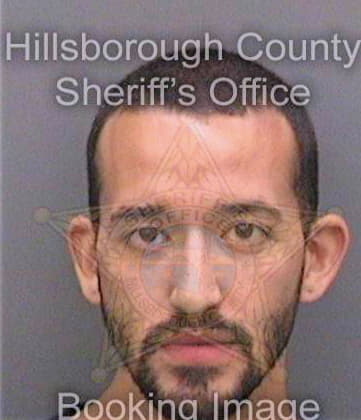 Dejesus Fernando - Hillsborough County, FL 