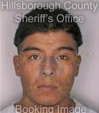 Martinezortiz Gilberto - Hillsborough County, FL 